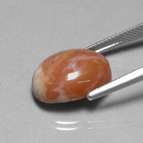 9.66カラットの天然マルチカラー碧玉、オーバルカット、オペーク