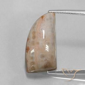 12.74ct 天然 マルチカラー 碧玉, ファンシー, オペーク