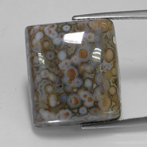 23.65カラットの天然マルチカラージャスパー（18.8×16.7 mm・四角）