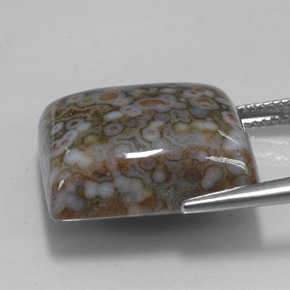 23.65カラットの天然マルチカラージャスパー（18.8×16.7 mm・四角）