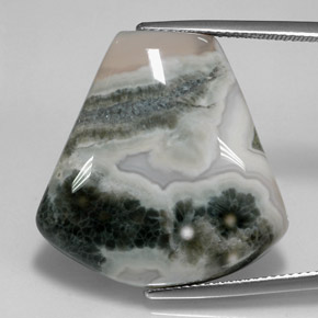 29.53カラットの天然マルチカラー碧玉、ファンシーシェイプ、オペーク