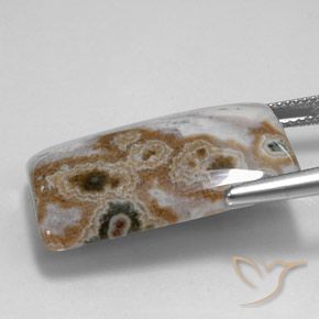 23.24カラットの天然マルチカラー碧玉、バゲット、オペーク