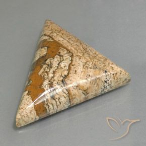 53.88カラットの天然マルチカラー碧玉、トリリオン、オペーク