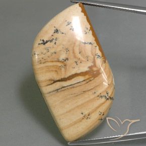 45.75ct 天然 マルチカラー 碧玉, ファンシー, オペーク