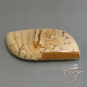 45.75カラットの天然マルチカラー碧玉、ファンシー、オペーク