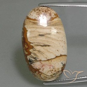 18.14ct 天然 マルチカラー 碧玉, 楕円形, オペーク
