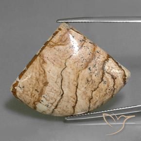 35.80ct 天然 マルチカラー 碧玉, ファンシー, オペーク
