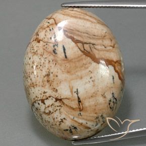 44.54ct 天然 マルチカラー 碧玉, 楕円形, オペーク