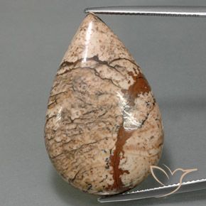 36.58ct 天然 マルチカラー 碧玉, 洋梨の形, オペーク