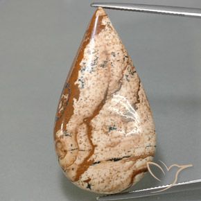 43.77ct 天然 マルチカラー 碧玉, 洋梨の形, オペーク