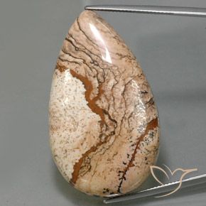 73.69ct 天然 マルチカラー 碧玉, 洋梨の形, オペーク