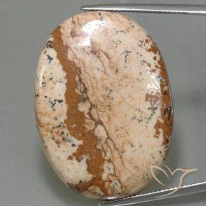 54.96ct 天然 マルチカラー 碧玉, 楕円形, オペーク
