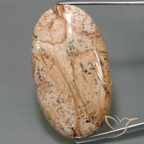49.05ct 天然 マルチカラー 碧玉, 楕円形, オペーク