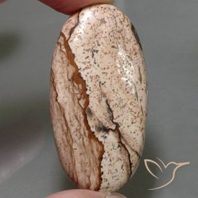 55.96ct 天然 マルチカラー 碧玉, 楕円形, オペーク