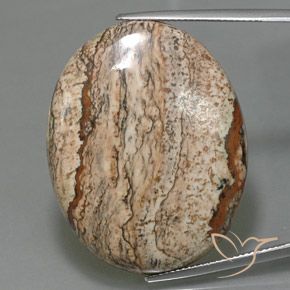 49.58ct 天然 マルチカラー 碧玉, 楕円形, オペーク