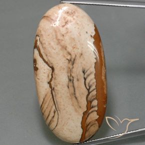 44.16ct 天然 マルチカラー 碧玉, 楕円形, オペーク