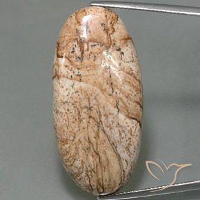 44.33ct 天然 マルチカラー 碧玉, 楕円形, オペーク