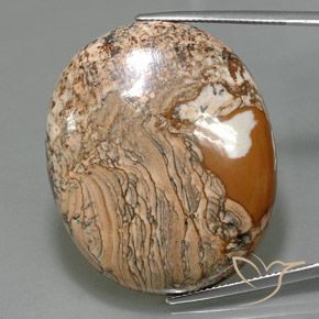 67.93ct 天然 マルチカラー 碧玉, 楕円形, オペーク
