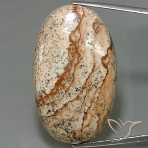 56.03ct 天然 マルチカラー 碧玉, 楕円形, オペーク