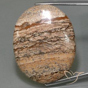 65.05ct 天然 マルチカラー 碧玉, 楕円形, オペーク