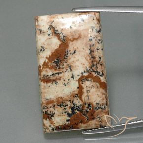 26.28ct 天然 マルチカラー 碧玉, バゲット, オペーク