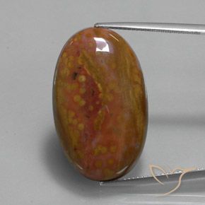 27.84ct 天然 マルチカラー 碧玉, 楕円形, オペーク