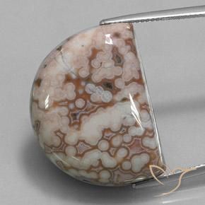 35.32ct 天然 マルチカラー 碧玉, ファンシー, オペーク