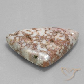 48.51カラットの天然マルチカラー碧玉、トリリオン、オペーク