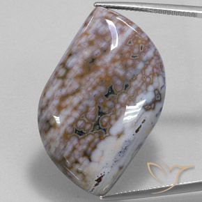 50.91ct 天然 マルチカラー 碧玉, ファンシー, オペーク
