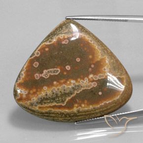 41.62ct 天然 マルチカラー 碧玉, 洋梨の形, オペーク