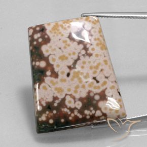 65.30ct 天然 マルチカラー 碧玉, ファンシー, オペーク