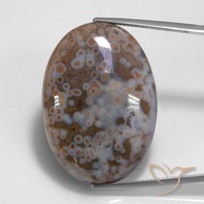 43.68ct 天然 マルチカラー 碧玉, 楕円形, オペーク