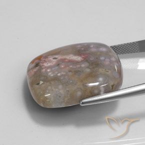 48.00カラットの天然マルチカラー碧玉、クッション、オペーク