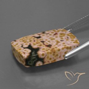 20.83カラットの天然マルチカラー碧玉、バゲット、オペーク