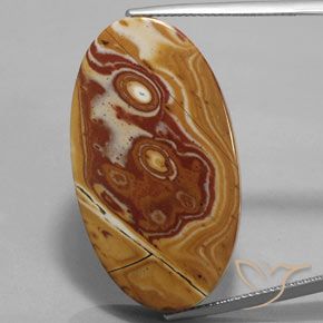 34.73ct 天然 マルチカラー 碧玉, 楕円形, オペーク