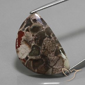 20.05ct 天然 マルチカラー 碧玉, ファンシー, オペーク