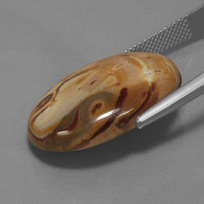 19.06カラットの天然マルチカラー碧玉、オーバルカット、オペーク