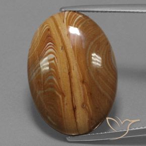 19.54ct 天然 マルチカラー 碧玉, 楕円形, オペーク