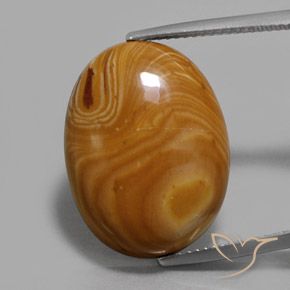 13.26ct 天然 マルチカラー 碧玉, 楕円形, オペーク