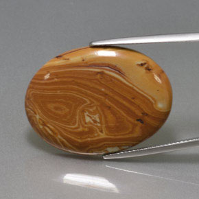 20.59カラットの天然マルチカラー碧玉、オーバルカット、オペーク