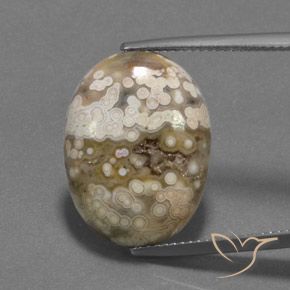 13.09ct 天然 マルチカラー 碧玉, 楕円形, オペーク