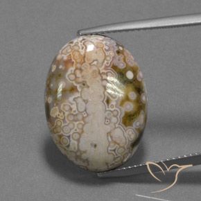 13.22ct 天然 マルチカラー 碧玉, 楕円形, オペーク