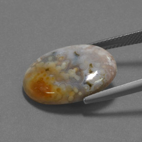 12.16カラットの天然マルチカラー碧玉、オーバルカット、オペーク