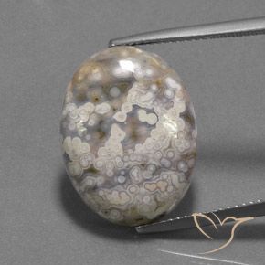 15.55ct 天然 マルチカラー 碧玉, 楕円形, オペーク