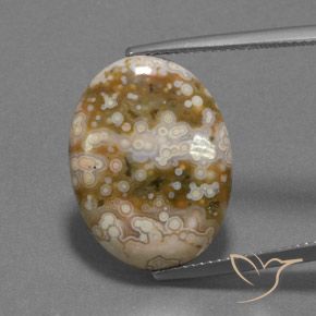 12.13ct 天然 マルチカラー 碧玉, 楕円形, オペーク