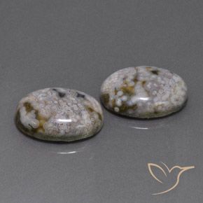 Shop natural 26.88ct マルチカラー 碧玉 gems, 楕円形, from インドネシア at GemSelect. In stock, global shipping!