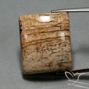 32.30ct 天然 マルチカラー 碧玉, バゲット, オペーク