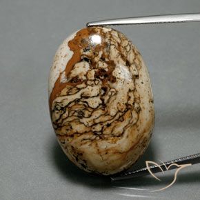 37.73ct 天然 マルチカラー 碧玉, 楕円形, オペーク