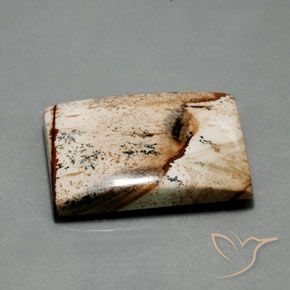 55.92カラットの天然マルチカラー碧玉、バゲット、オペーク