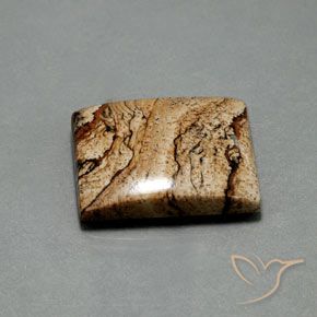 32.75カラットの天然マルチカラー碧玉、バゲット、オペーク